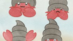 Hermit Crab01 01 02