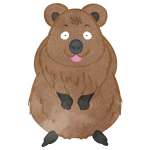 Quokka01 Surprised