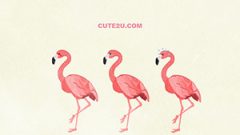 ANIMAL Bird Flamingo02