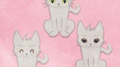 ANIMAL Cat White Cat02