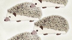 ANIMAL Hedgehog02 01