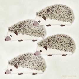 Animal Hedgehog02 01