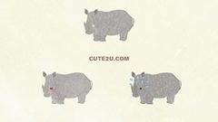 ANIMAL Rhinoceros01 02