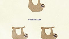 ANIMAL Sloth 01 01