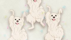 Dog Golden Retriever01 03 Whole Body Joy