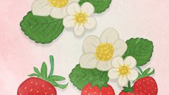 FOOD Fruit Strawberry01 02