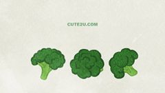 Food Vegetables Broccoli 01 03