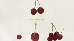 Fruit Black Cherry01 04