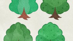 NATURE Tree04