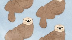 c9e62812e6d49779a89ad9625c9efbc0