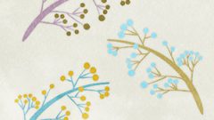 f2abb4ffcb45560a1a8bff4f249f1557