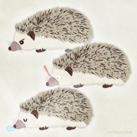 Animal Hedgehog02 02