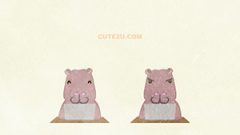 ANIMAL Hippo01 A Hippo Working On A Laptop