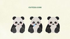 ANIMAL Panda01 04