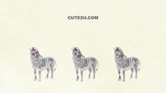 ANIMAL Zebra01 03