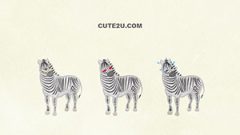 ANIMAL Zebra01 04