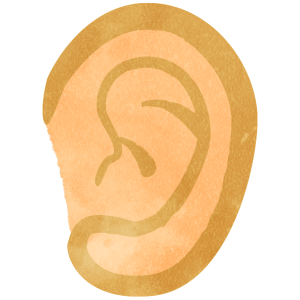 Ear01 C