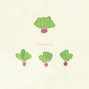 Food Vegetables Radish01 01 03