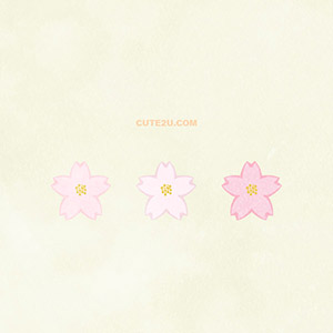 Nature Flowers Cherry Blossoms02