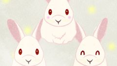 Rabbit White Rabbit02