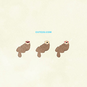 Animal Sea ​​otter01 03