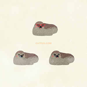 Animals Spotted Seal01 03