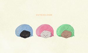 ANIMAL Cat Cozy Cat Wrapped In A Blanket01