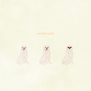 Animal Dog Golden Retriever01 03