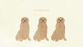 ANIMAL Dog Golden Retriever01 Brown01