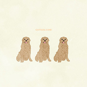 Animal Dog Golden Retriever01 Brown01