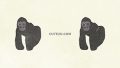 ANIMAL Gorilla 01 02