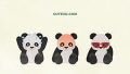 ANIMAL Panda01 05