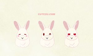 Animals Rabbit White Rabbit02 02