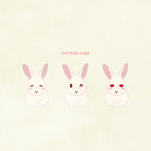 Animals Rabbit White Rabbit02 02