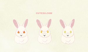 Animals Rabbit White Rabbit02 03