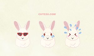 Animals Rabbit White Rabbit02 04