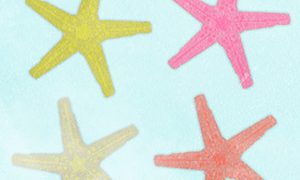 Animals SEA Starfish Shell02 01