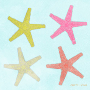 Animals Sea Starfish Shell02 01