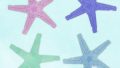 Animals SEA Starfish Shell02 02