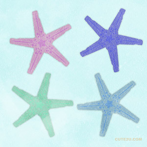 Animals Sea Starfish Shell02 02