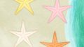 Animals SEA Starfish Shell03 01