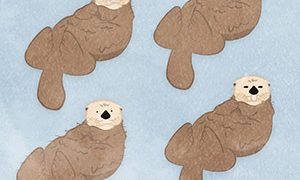 c9e62812e6d49779a89ad9625c9efbc0