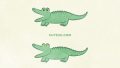 ANIMALS Alligator02 04