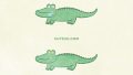 ANIMALS Alligator02 07