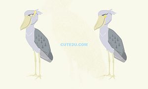 ANIMALS Bird Shoebill02 03