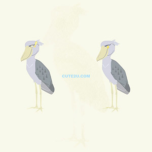 Animals Bird Shoebill02 03