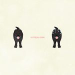 Animals Dog Hunting Dog Black01 02