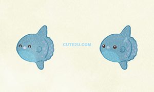 ANIMALS Sunfish01 01
