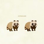 Animals Tanuki03 04