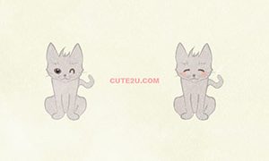 ANIMAL Cat White Cat02 02